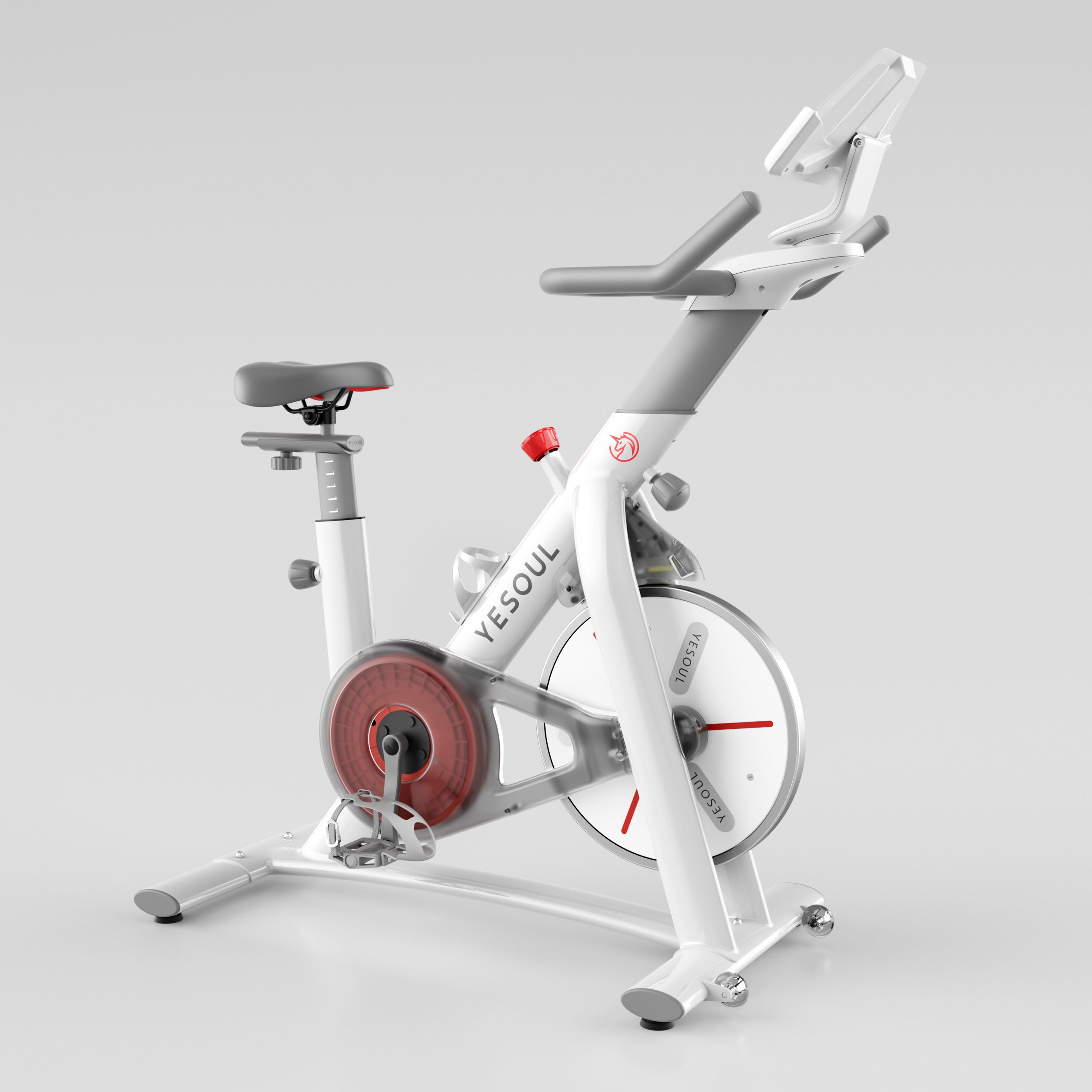 YESOUL S3 Indoor Exercise Bike