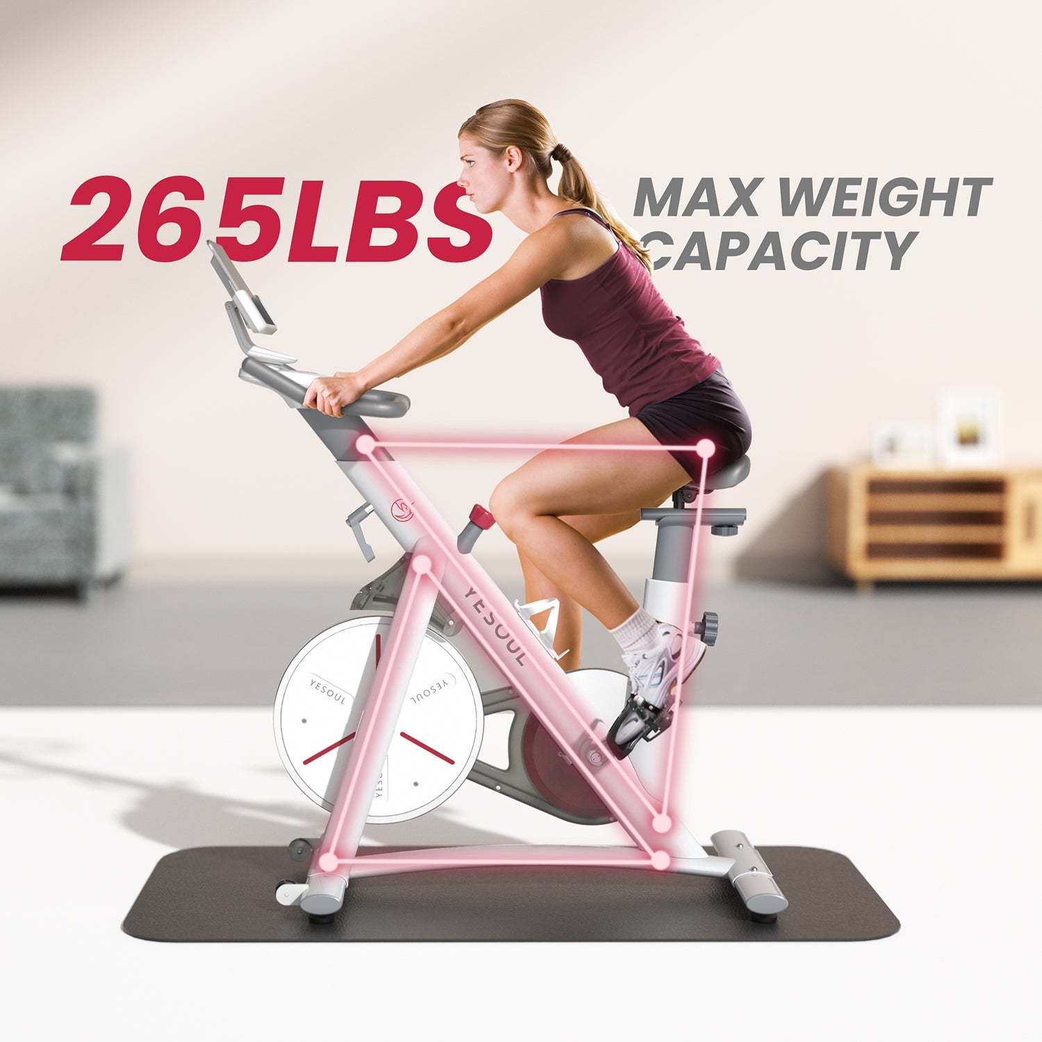 YESOUL S3 Indoor Exercise Bike