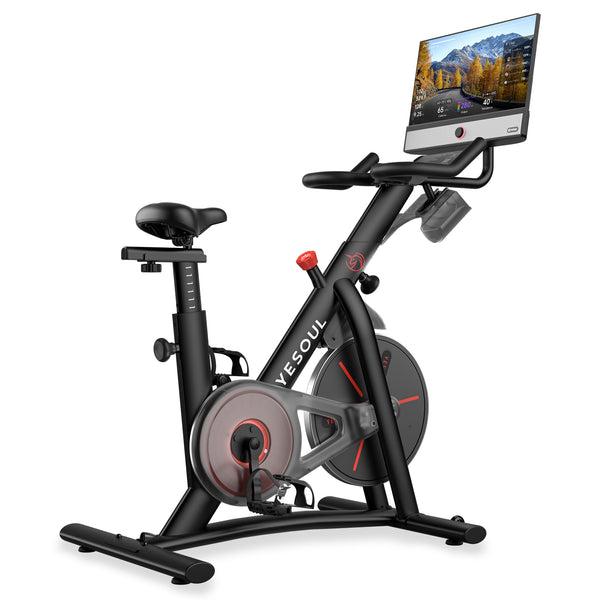 Yesoul G1M Plus Bike(Bike+Screen)