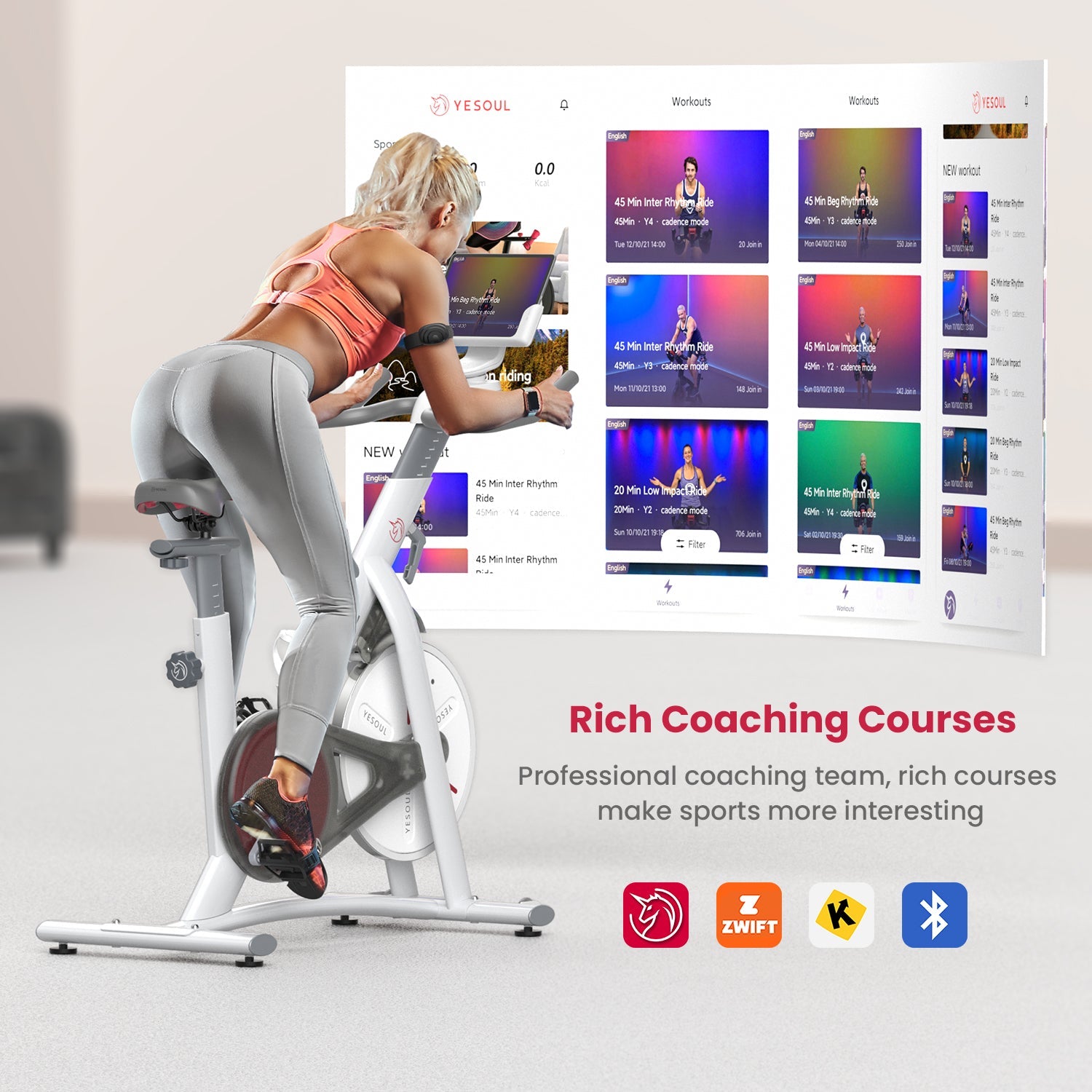 YESOUL S3 Indoor Exercise Bike