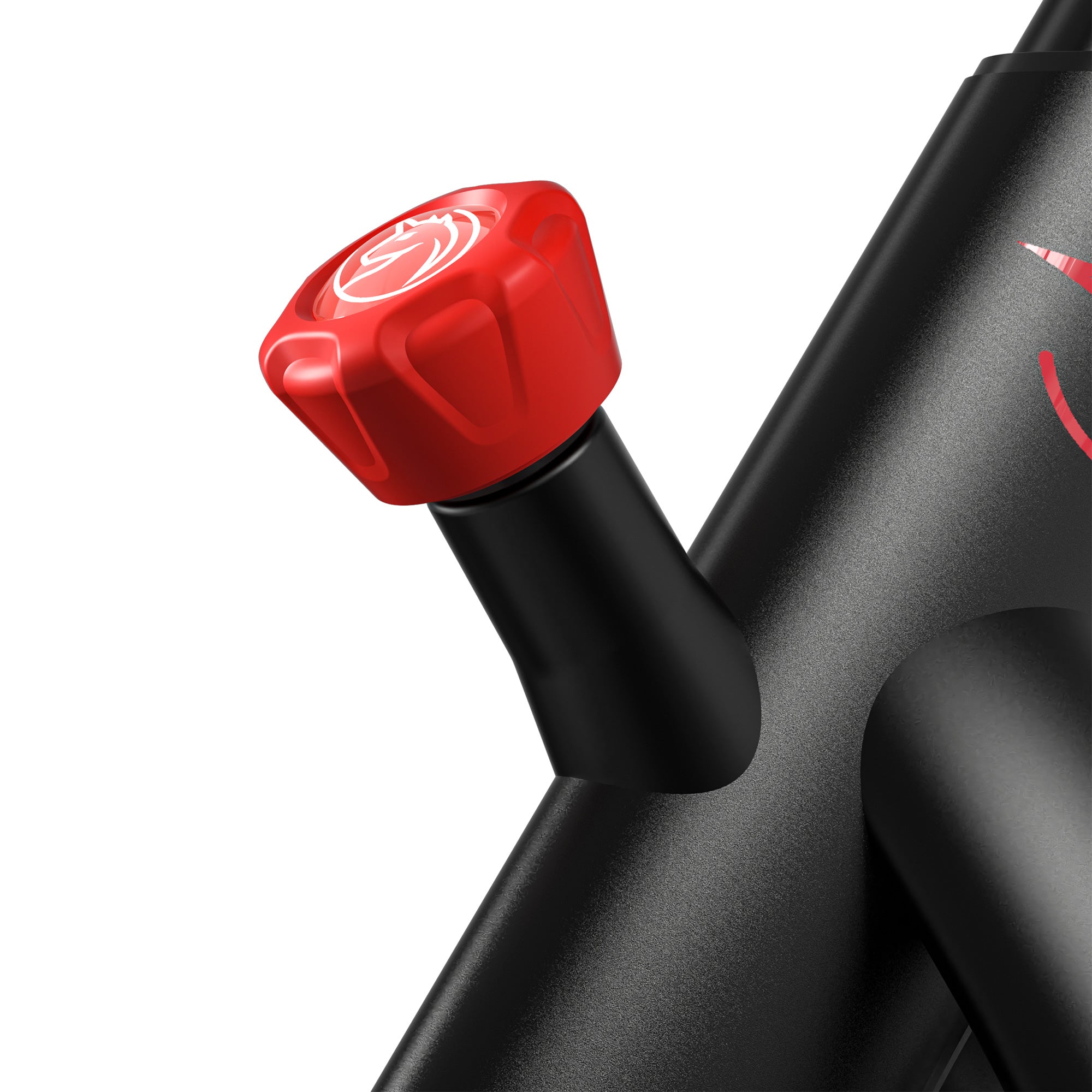 Family Package: Dual Cycle Pack