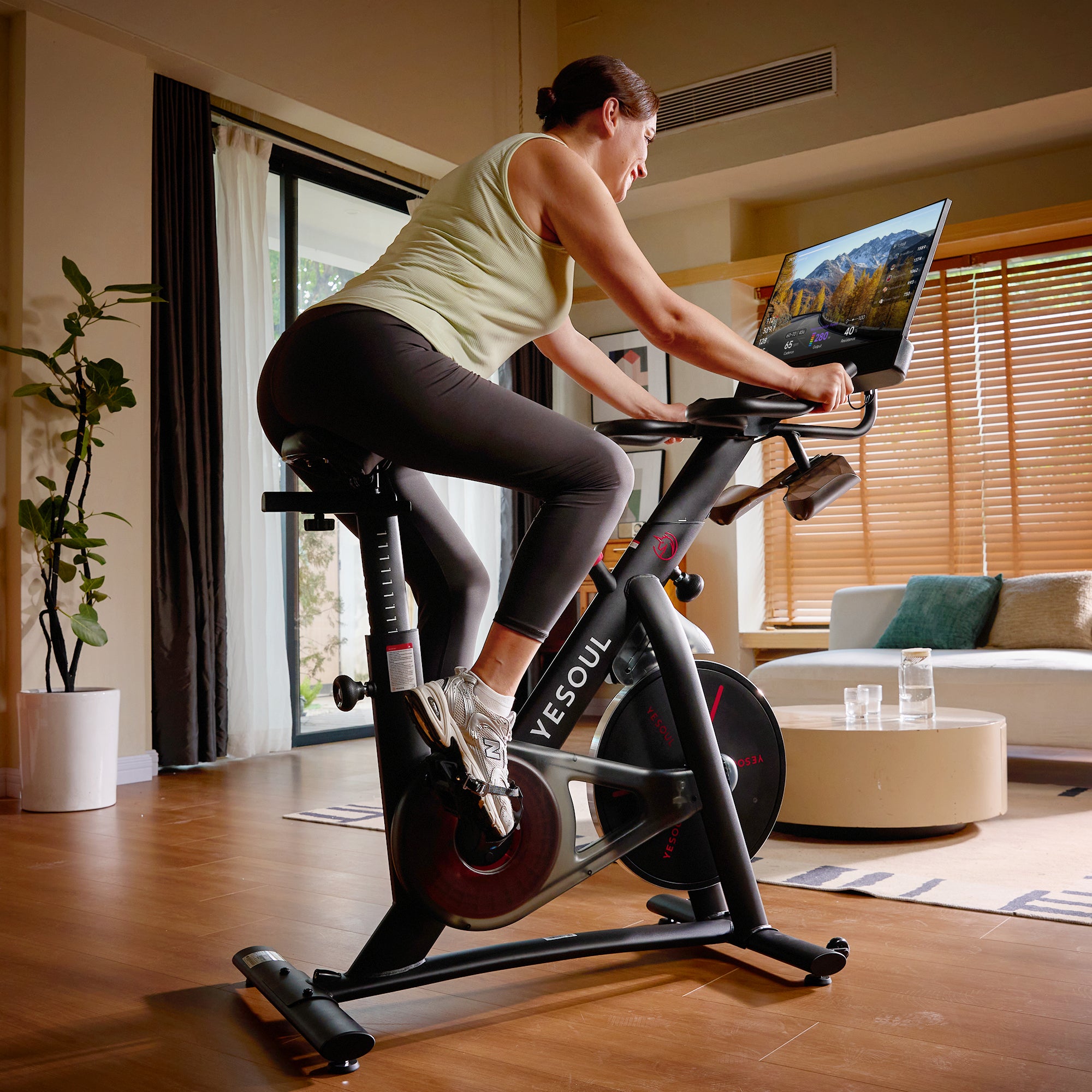 Yesoul G1M Plus Bike(Bike+Screen)